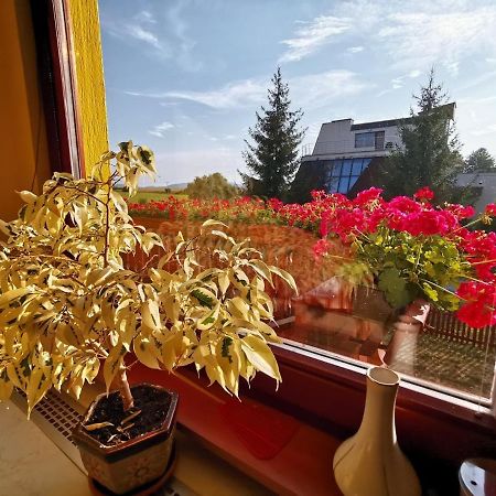 Apartman Adrianka ตูร์เชียนสเก เจปลิตเซ ภายนอก รูปภาพ