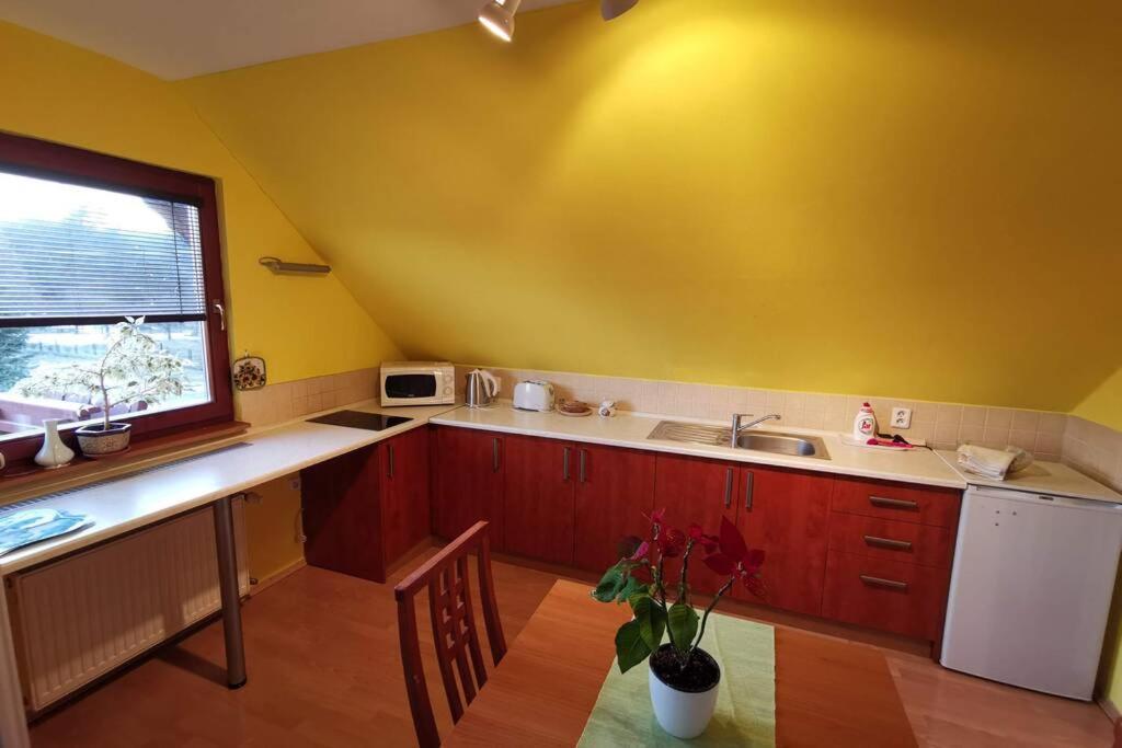 Apartman Adrianka ตูร์เชียนสเก เจปลิตเซ ภายนอก รูปภาพ
