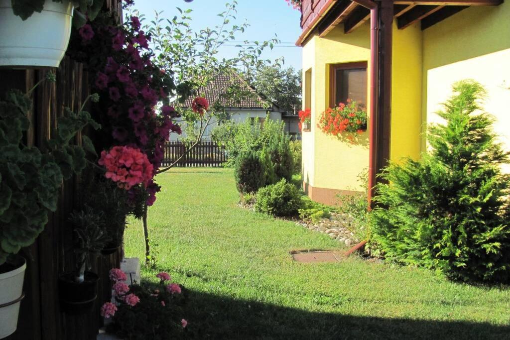 Apartman Adrianka ตูร์เชียนสเก เจปลิตเซ ภายนอก รูปภาพ