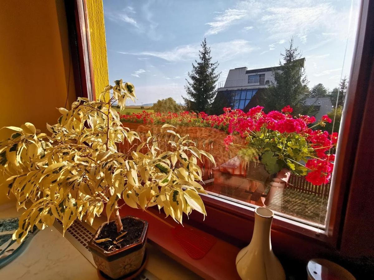 Apartman Adrianka ตูร์เชียนสเก เจปลิตเซ ภายนอก รูปภาพ
